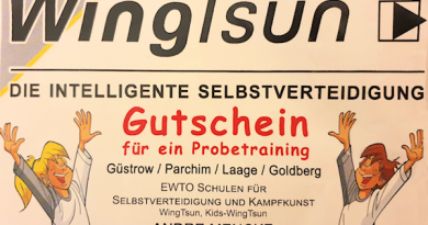 Kids-Wingtsun (Kids-WT) Das ganzheitliche Programm zur Förderung sicherer und selbstbewusster Kinder Kids-Wingtsun (Kids-WT) Das ganzheitliche Programm zur Förderung sicherer und selbstbewusster Kinder