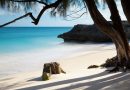 Reisewarnung für Barbados und die Seychellen